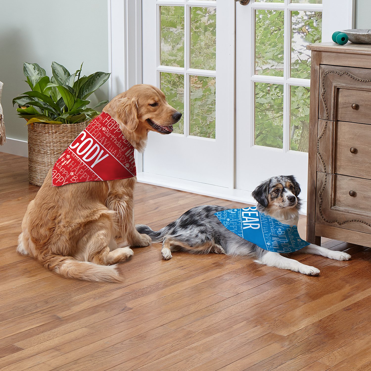 Festive Birthday Personalized Pet Bandana