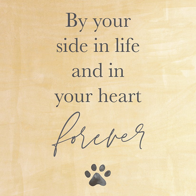 Paw Print Gift Card