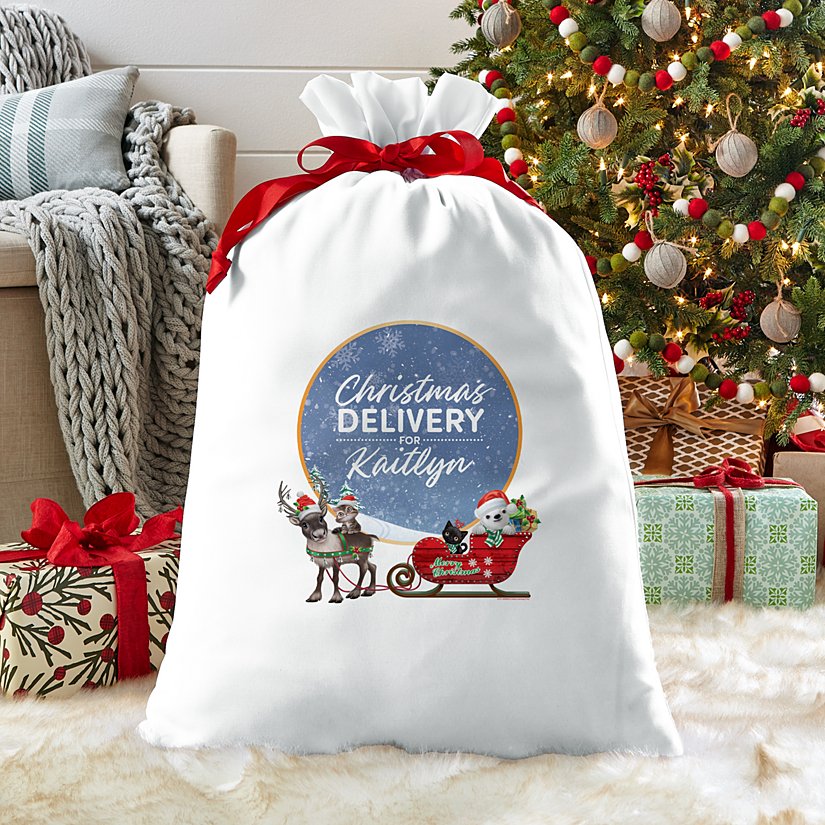 Animal Club International™ Baby Animals Christmas Gift Bag