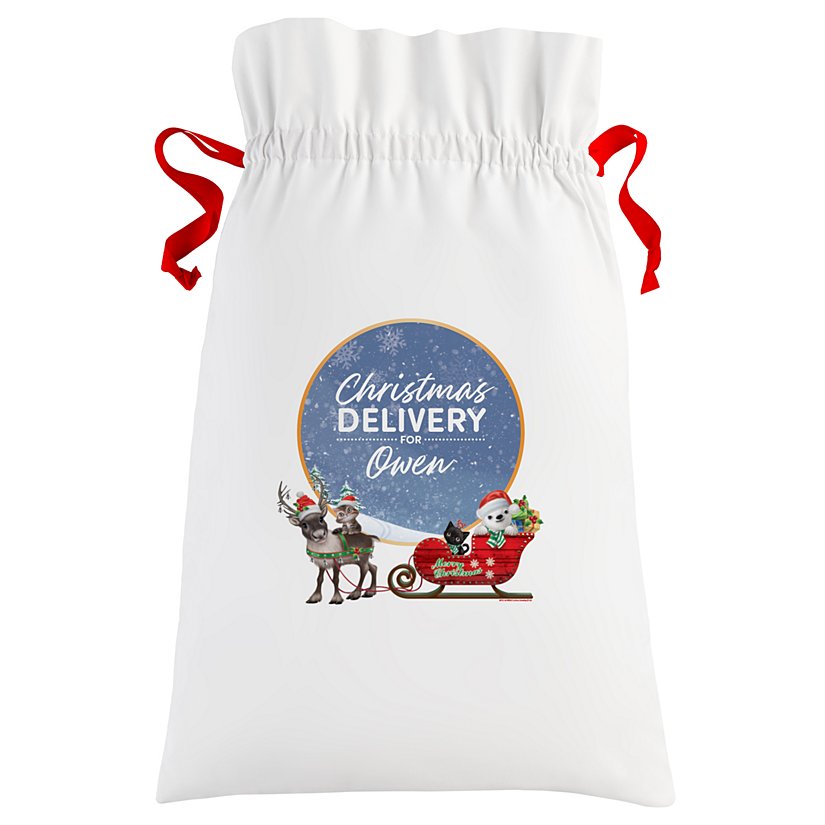 Animal Club International™ Baby Animals Christmas Gift Bag